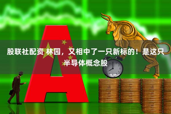 股联社配资 林园，又相中了一只新标的！是这只半导体概念股