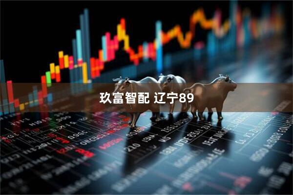 玖富智配 辽宁89