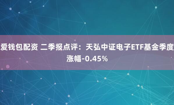 爱钱包配资 二季报点评:天弘中证电子ETF基金季度涨幅-0.45%