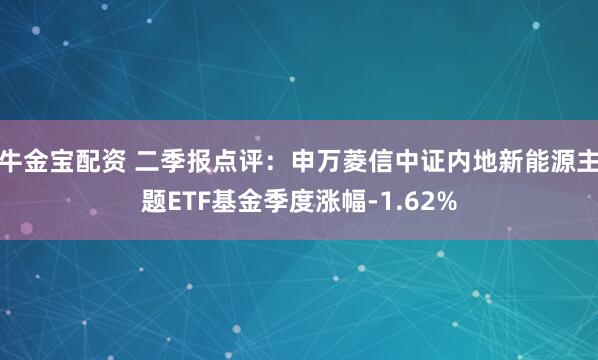 牛金宝配资 二季报点评:申万菱信中证内地新能源主题ETF基金季度涨幅-1.62%
